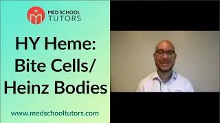 Bite Cells / Heinz Bodies & High Yield Associations &mdash; Hematology for the USMLEs