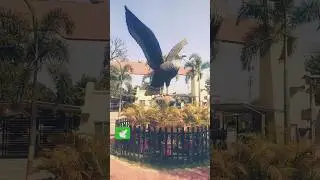 cheque ni #trending #zoolife #sortvideo