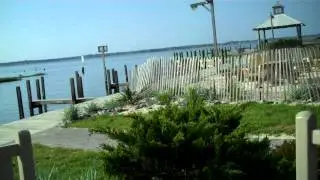VID00286