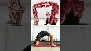 Try This Backbend Yoga Pose #yogainsipiration #yoga #yogaasana #yogateacher #healthyliving