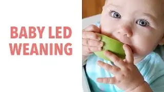 How to do Baby Led Weaning - BLW - and Why You'd Want To