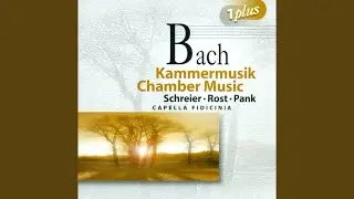 Viola da Gamba Sonata in D Major, BWV 1028: IV. Allegro