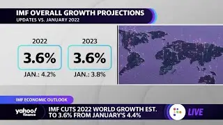 Russia-Ukraine war having a &lsquo;massive impact on the global economy&rsquo;: IMF Chief Economist