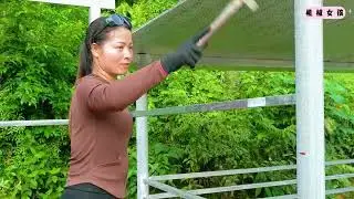 在鱼塘边用钢结构建造牲畜圈舍，并用砖块砌筑菜床种植蔬菜 #我的乡野山居生活 #建造田园生活 #野外建造