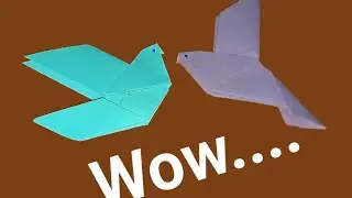 Easy Paper Dove | Simple Origami Bird Tutorial 🕊️ | Paper Art