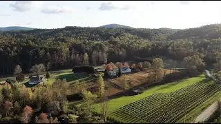 Tiger Georgia and Area Vineyards