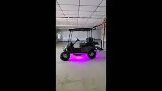 Stock # 5004 - 2015 EZGO TXT (Gas) - Gray with Silver ghost flames