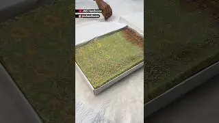 Mashru Silk Banarasi Saree in Contras Border | banarasi saree | @JMSHandlooms #viral #shorts