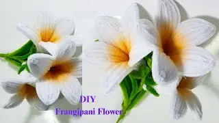 DIY Frangipani Flower | Plumeria flower | how to make beautiful Frangipani flower or Plumeria flower