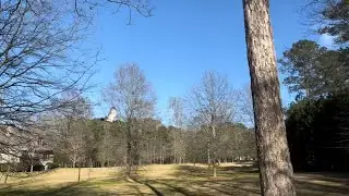 Falconry: Red-Tailed Hawk Release & Squirrel Hawking