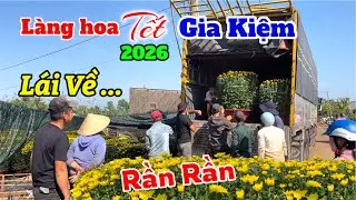 RẦN RẦN Thương lái đổ về làng hoa gia kiệm tết 2026