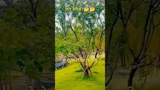 School Topper vs Dropout Reality | Success Is About Mindset, Not Degree | Motivational Short #shorts