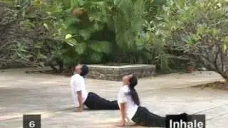 Surya Namaskar