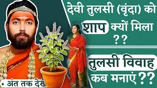 तुलसी विवाह का कोई शास्त्रीय प्रमाण नहीं है! Nigrahacharya Speaks।