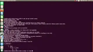 how  to have fun with ubuntu14.4LTS terminal