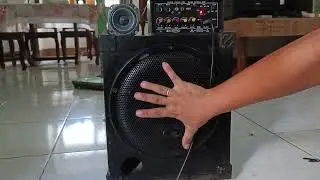 D10 BLUETOOTH AMPLIFIER to 10inch 250W 4OHMS SPEAKER