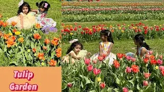 🌷 | పిల్లలతో అందమైన ట్యూలిప్ తోట 