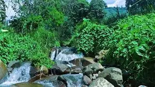 Goodbye Insomnia | Tranquil Stream Water for Slow Sleep
