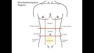 Abdominal division into quadrant and regions