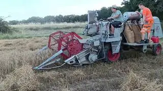 Claas Columbus, Baujahr 1959 bei der Ernte 2025 (1/2)