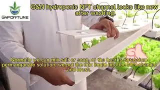 How to clean hydroponic NFT system? So easy!
