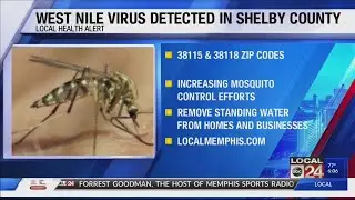 West Nile detected in zip codes 38115 & 38118 in Shelby County