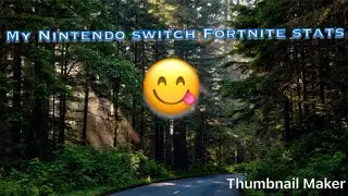 My nintendo switch fortnite stats!