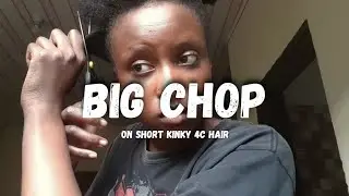 I decided to cut my short kinky 4c hair to a shorter length || TASHA FAITH