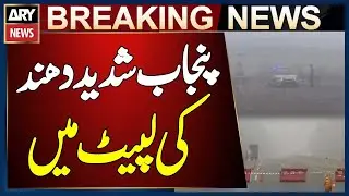 Punjab Hit by Dense Fog, Several Motorway Sections Closed | Breaking News