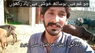 Zindgi Apni Marzi Sy Gyo | Log Kush Logon K Sath Khush Rahty h