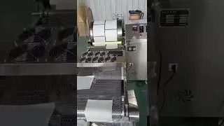 Samosa pastry skin making machine and Spring roll wrapper making machine