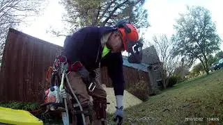 Pine Removal Uncut - First Time Using Climbing Spurs