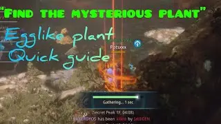 MIR4 &ldquo;Find the Mysterious Plant&rdquo; Egglike Plant