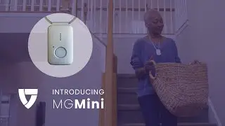 Introducing the MGMini