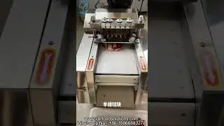 VERFOODSOLUTIONS 4cm Frozen Mutton Chop Cube Cutting Dicing Machine Test Before Delivery