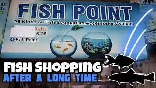 Buying FISH After A Long Break From FISHPOINT Fish Store Karachi - Imran's World