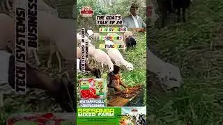 DA GOATS TALK TECH (SYSTEMS)IN GOAT BUSINESS
