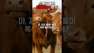물보다 빠른 흡수력, 트랜스100