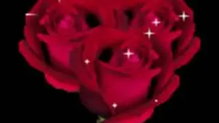EL AMOR DE MI VIDA los temerarios