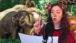 Я &mdash; каждое животное &mdash; Мой Голос Зоопарк