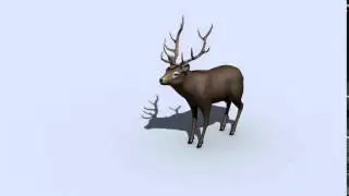 Red Deer Idle Animation - StaudSoft's Synthetic World