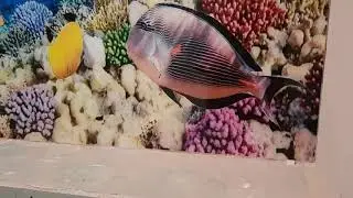 панно подводный мир в ванную комнату