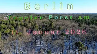 Berlin 11. Januar 2026 - Impressionen Tegeler Forst von oben
