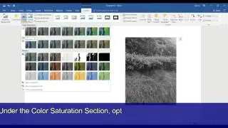 Microsoft Word 2016 Tutorial 12 How to Insert, Edit and Customise Pictures