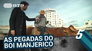 As pegadas do boi Manjerico | 5 Para a Meia-Noite | RTP