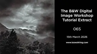 The B&W Digital Image Tutorial 065 Extract