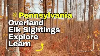 Pennsylvania Elk Overland Adventure