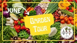 June Garden Tour || West Texas Vegetable Garden