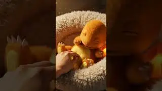 Adorable Baby Charizard & Its Master | Heartwarming Pok&eacute;mon Bonding! #shorts #ytshorts #pokemon