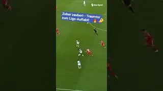 Banger. Steven Zuber mit einem Traumtor zur neuen Saison in der Super League. #fcz #fcz&uuml;rich